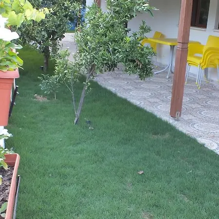 Altin Konaklari *