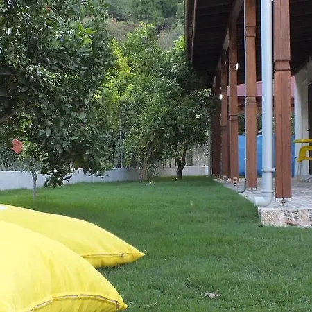 Altin Konaklari Homestay *