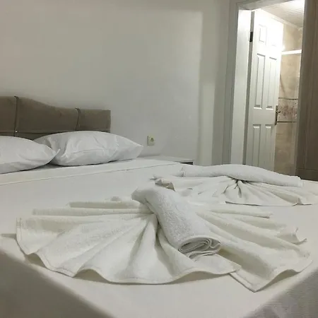 Altin Konaklari Homestay *