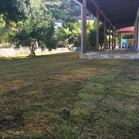 Altin Konaklari *